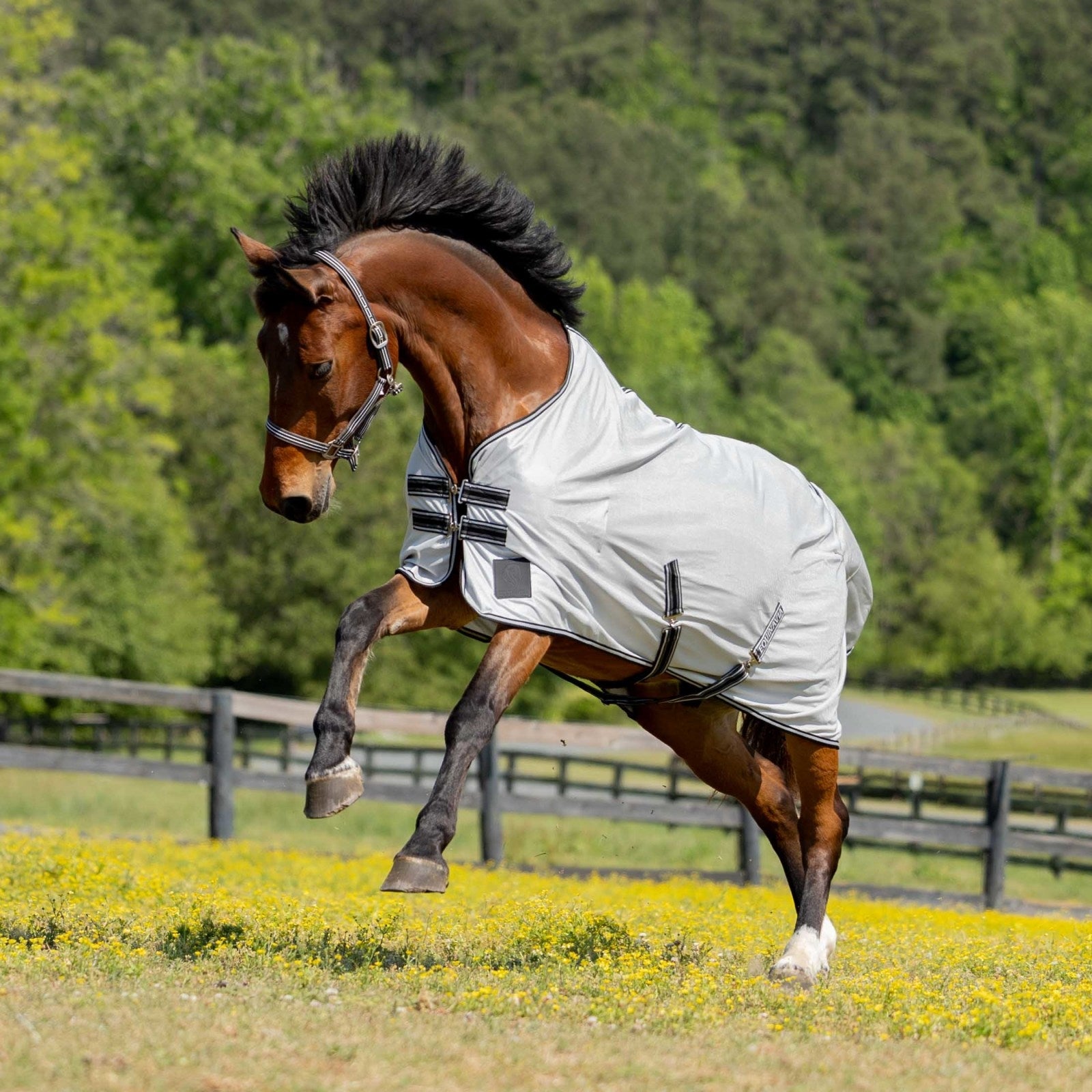 Equinavia Gard Fly Sheet