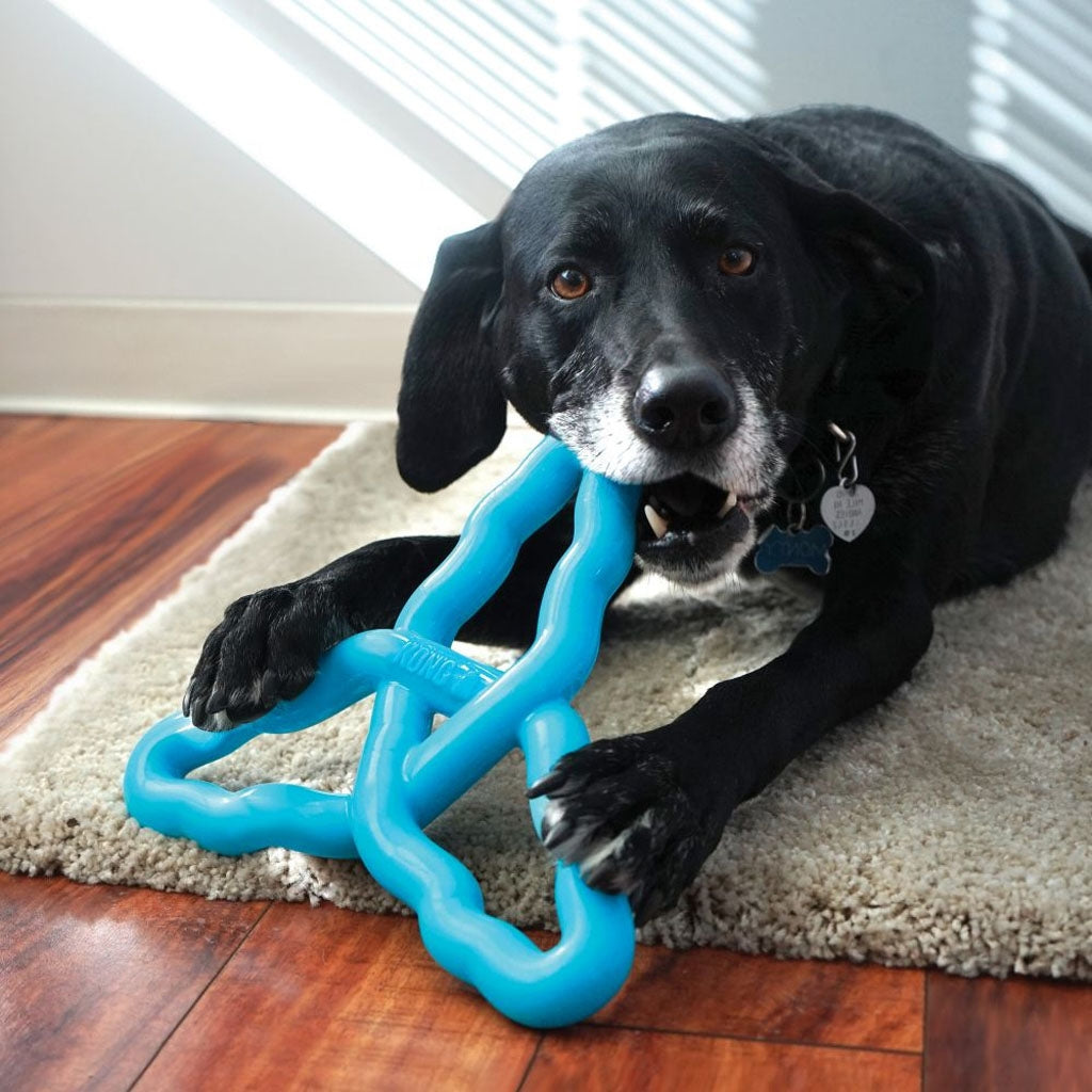 KONG Flyangle Fetch'N Tug