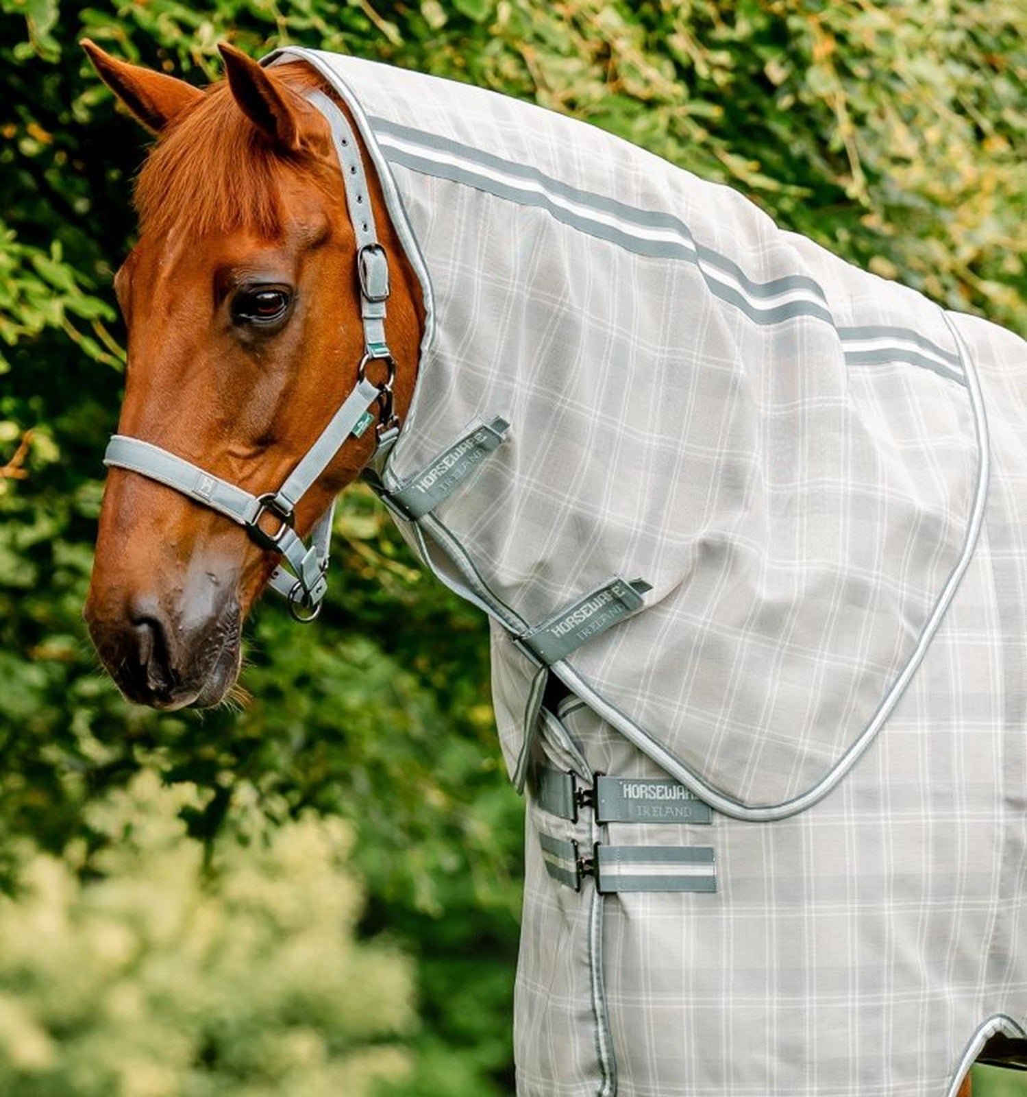 Horseware Newmarket Fly Sheet Hood