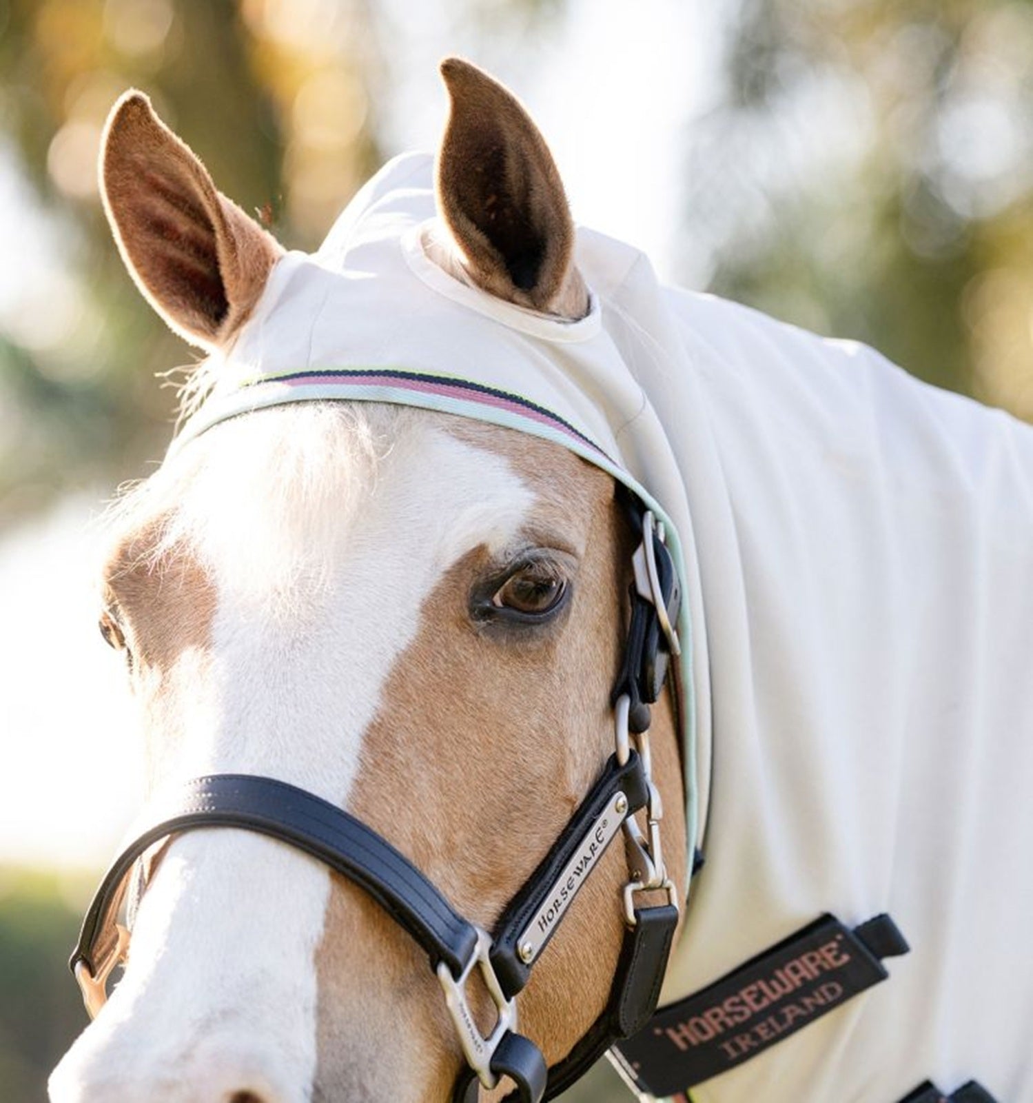 Amigo Ripstop Pony Hoody