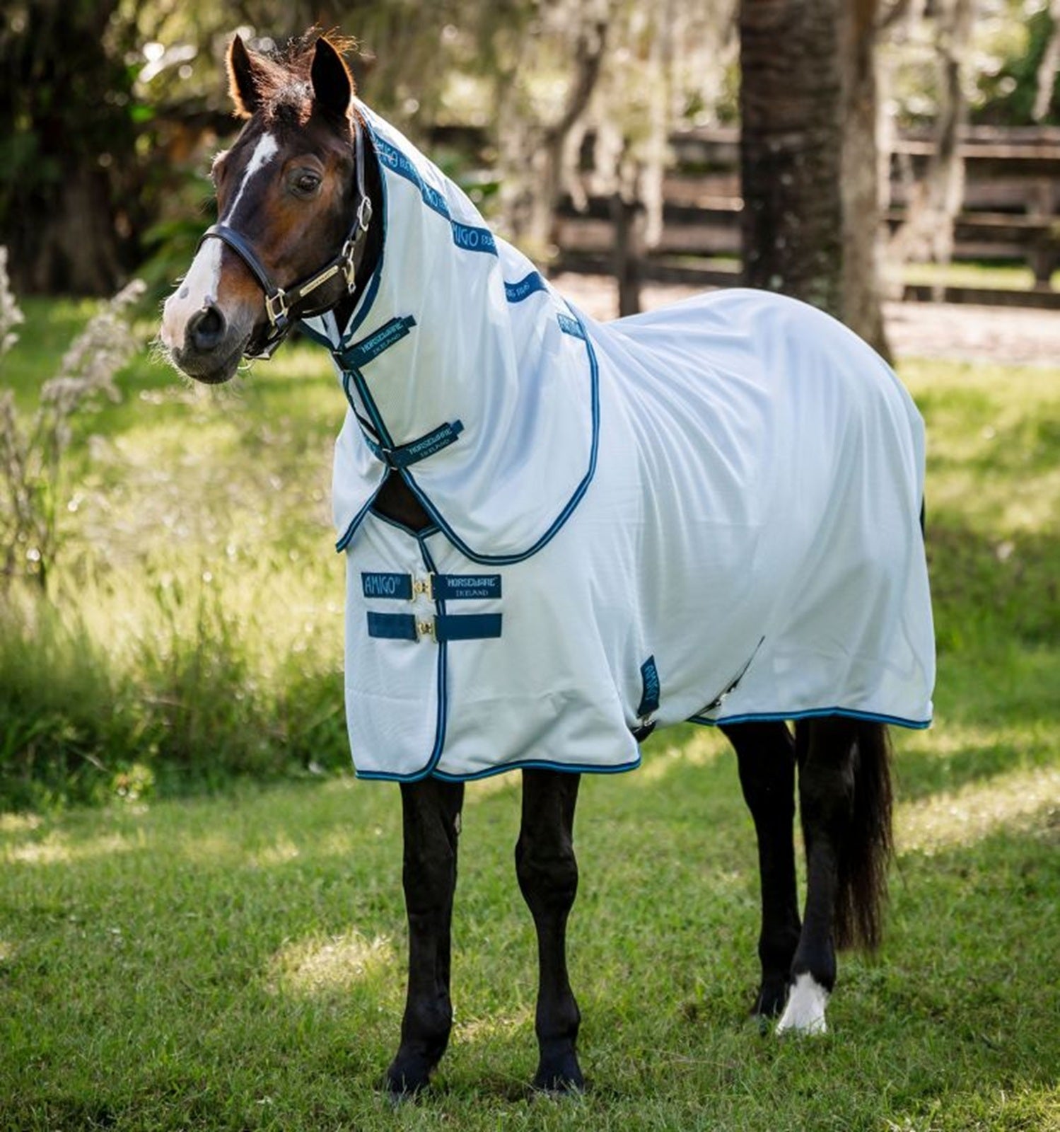 Amigo Bug Rug XL Plus Fly Sheet