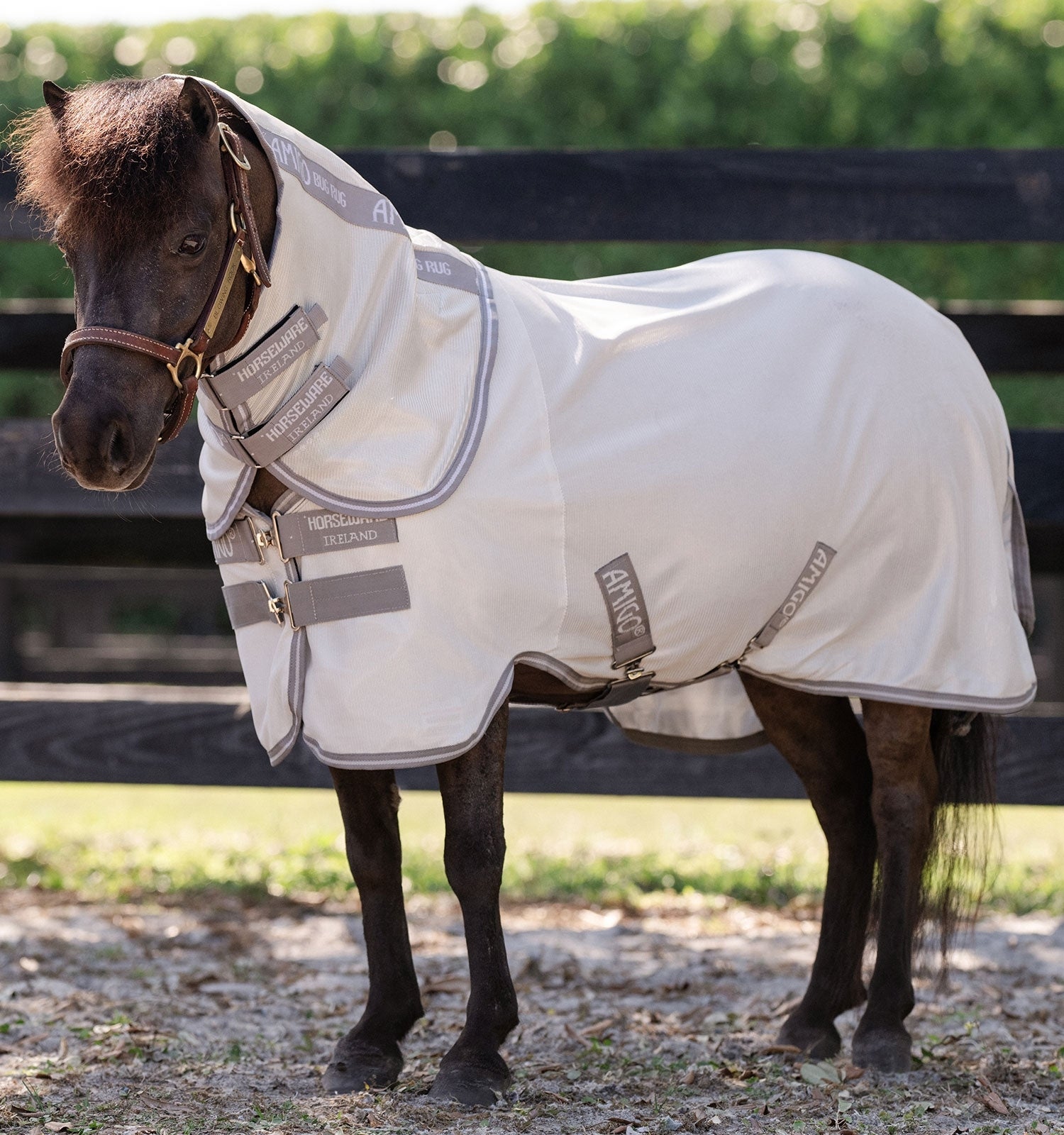 Amigo Bug Rug Plus Petite Fly Sheet