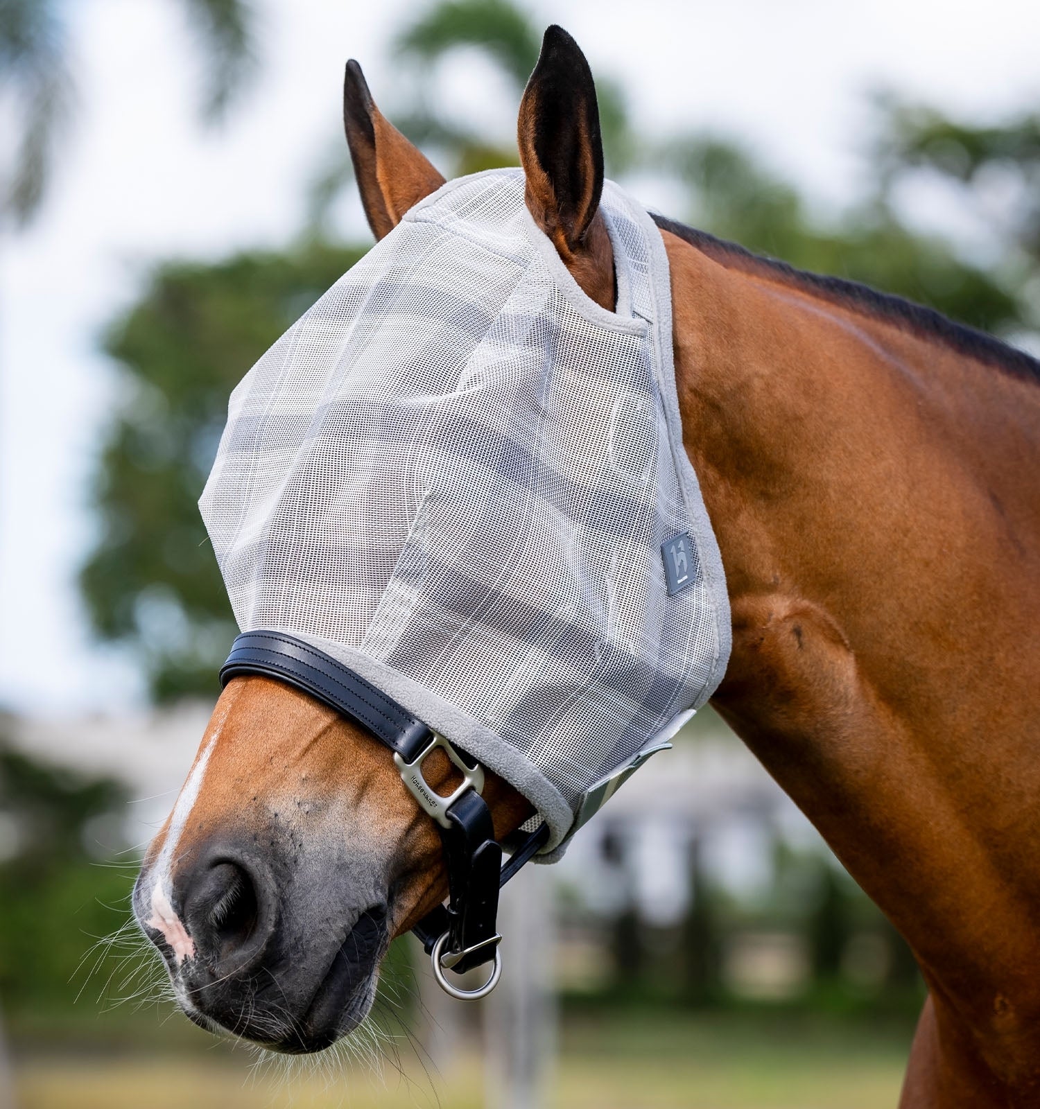Horseware Newmarket Fly Mask (No Ears)
