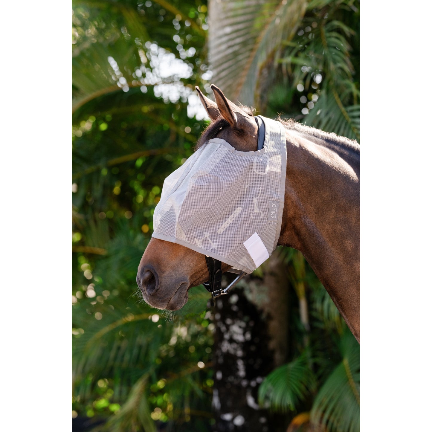 4-444429.jpg