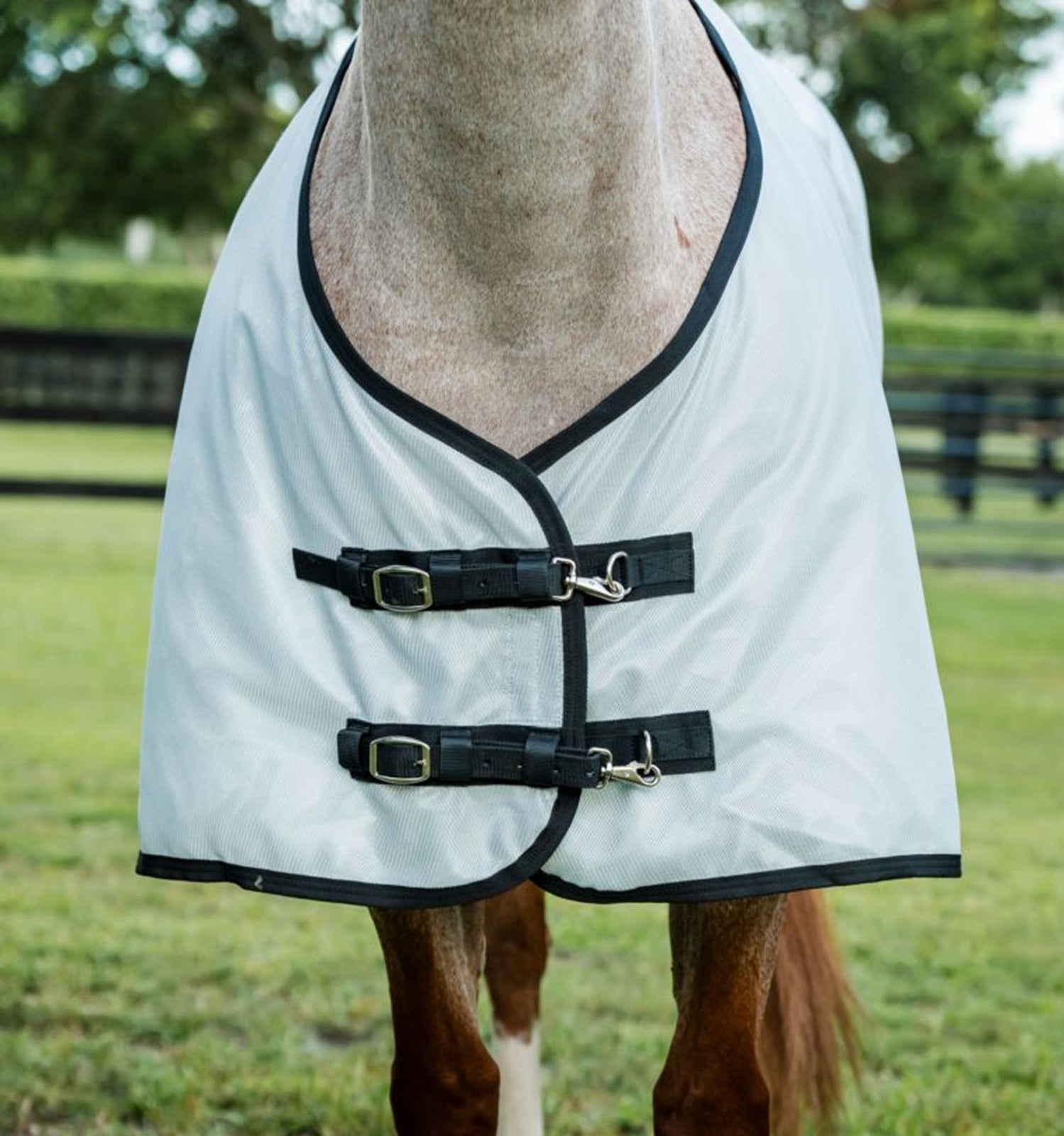 Amigo Bug Rug Stock Horse Fly Sheet