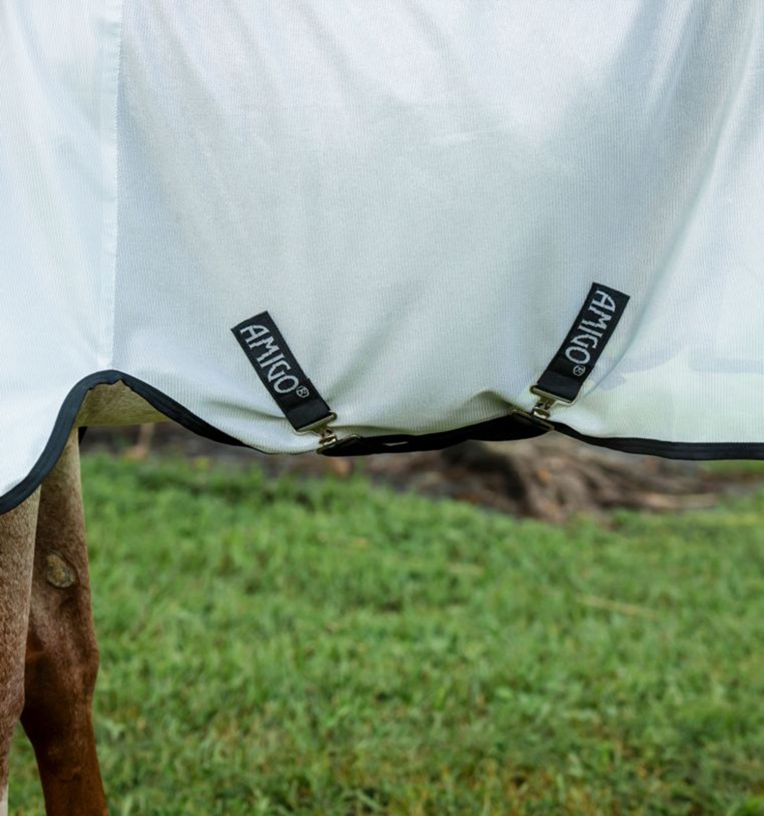 Amigo Bug Rug Stock Horse Fly Sheet