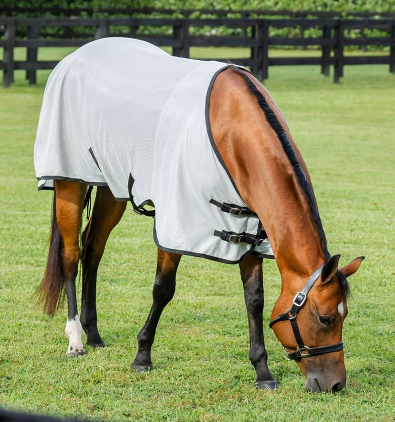Amigo Bug Rug Stock Horse Fly Sheet