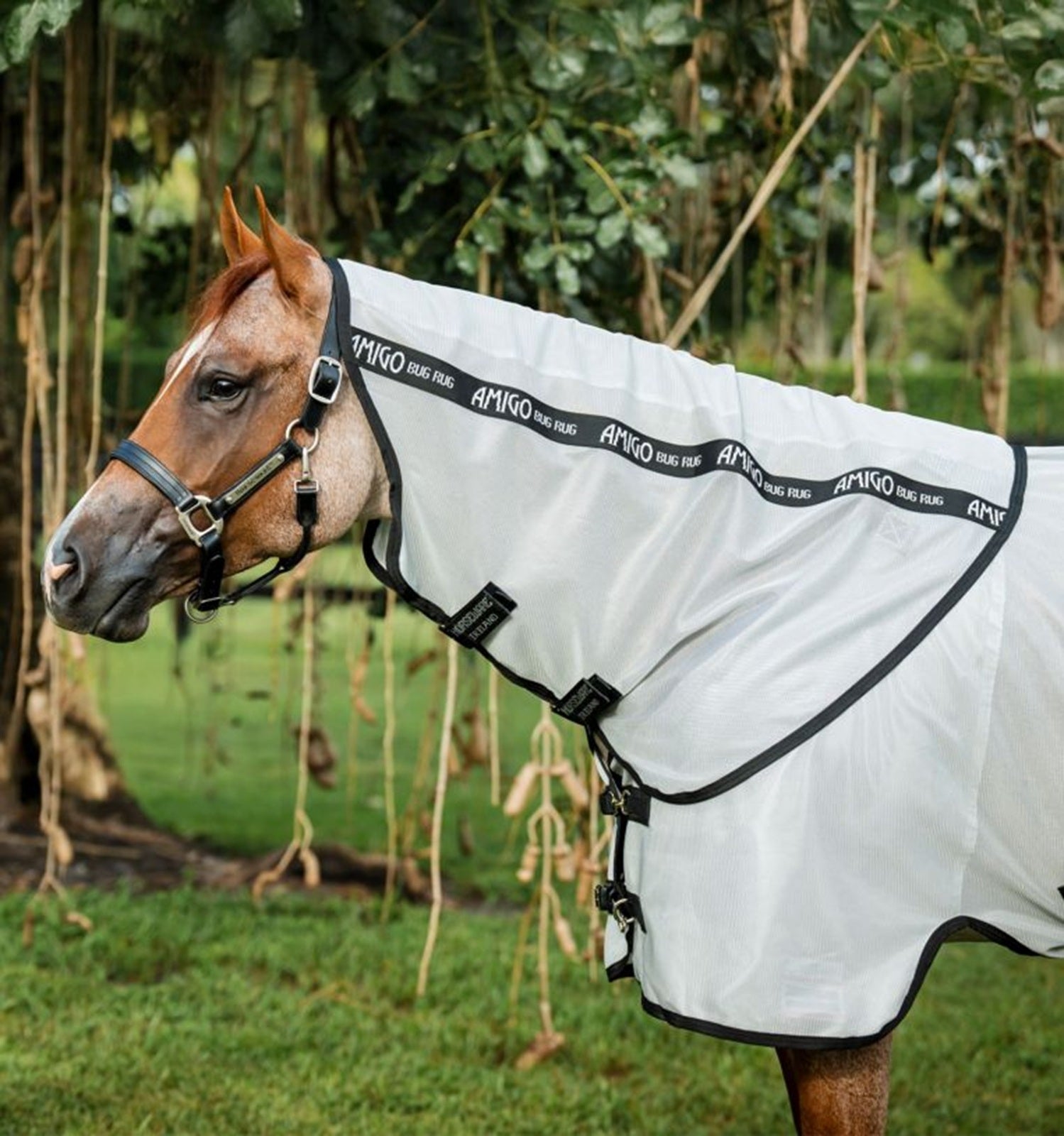 Amigo Bug Rug Stock Horse Hood