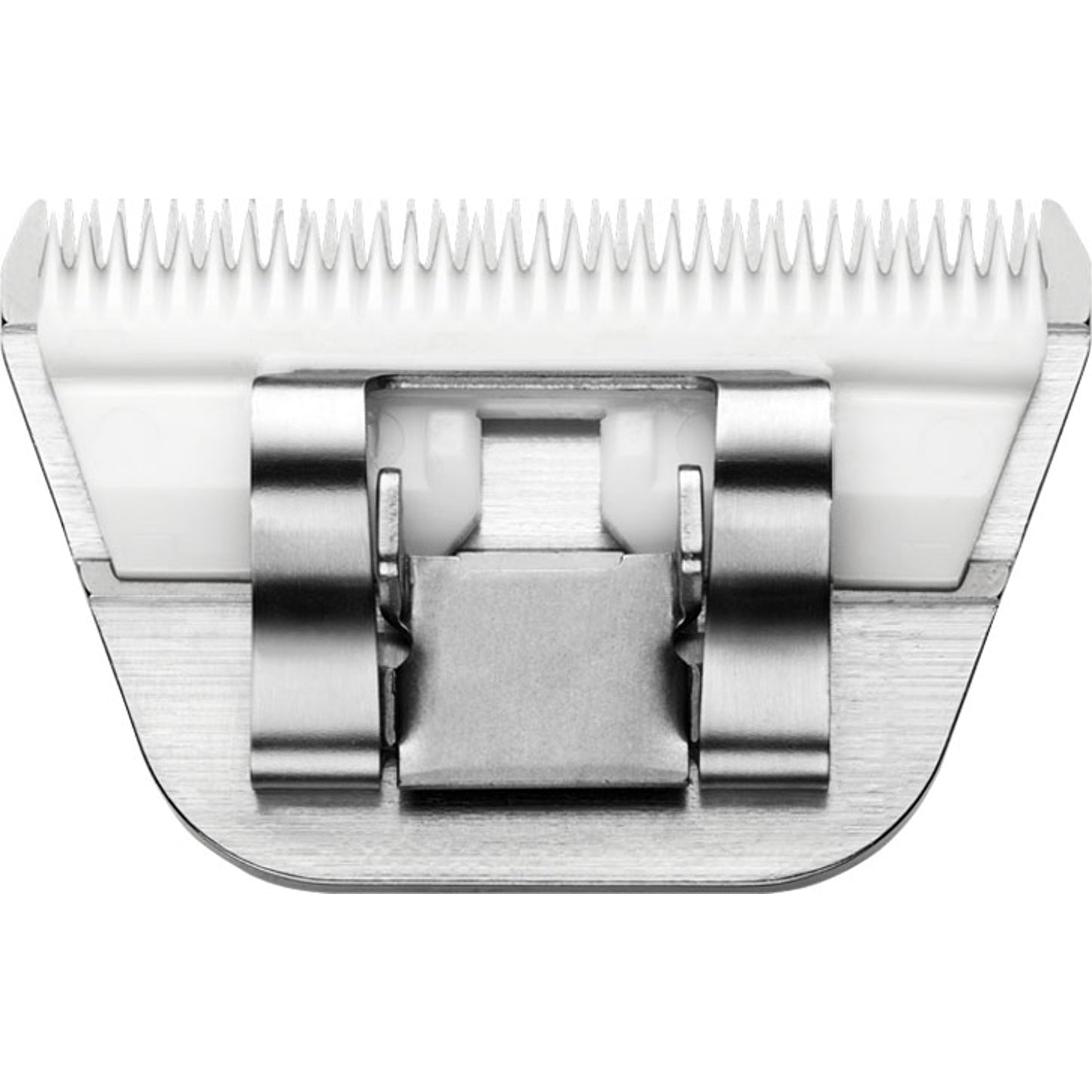 4-446494-c.jpg