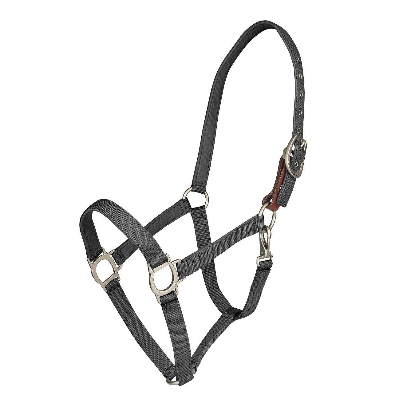 Ovation Lucky Breakaway Halter