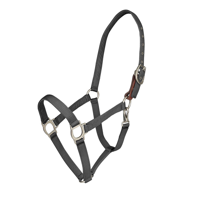 Ovation Lucky Breakaway Halter