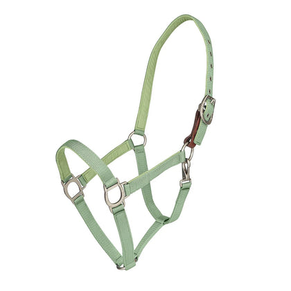Ovation Lucky Breakaway Halter