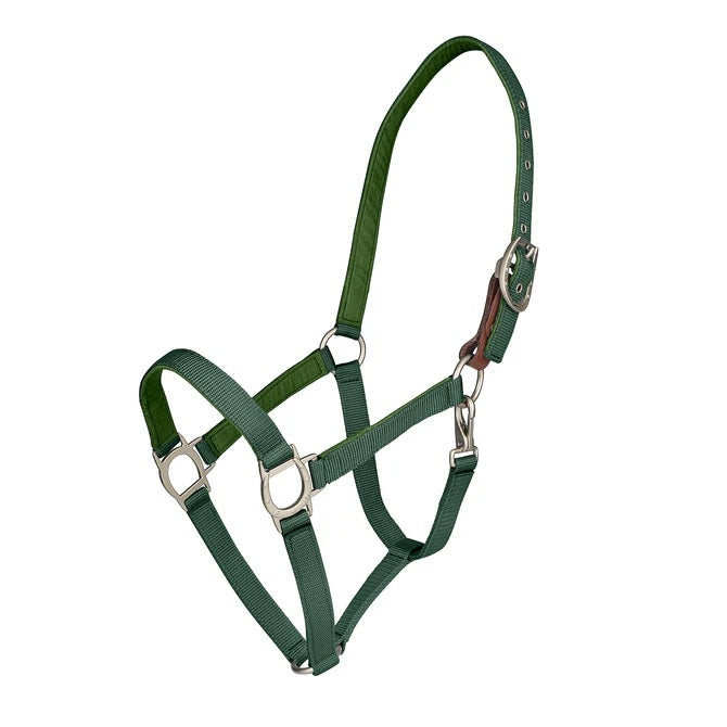 Ovation Lucky Breakaway Halter