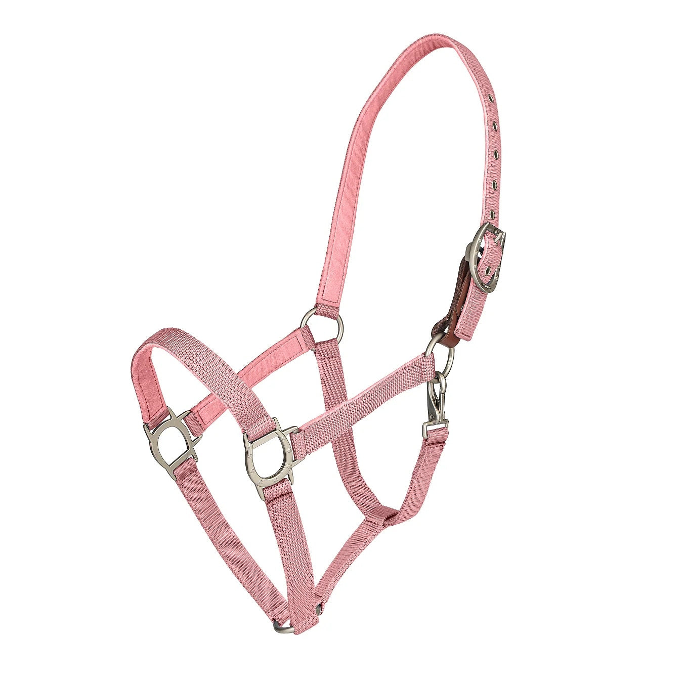 Ovation Lucky Breakaway Halter