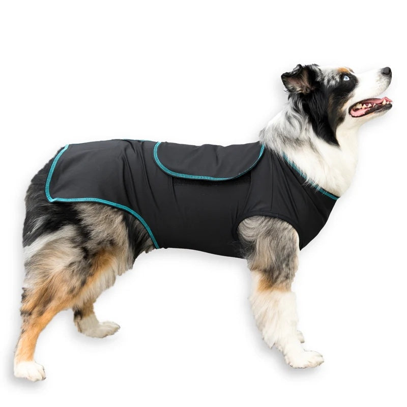 BeneFab Canine Comfort & Care Shirt