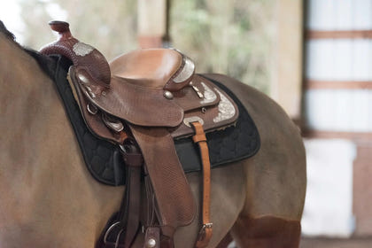 BeneFab Therapeutic Western Pad