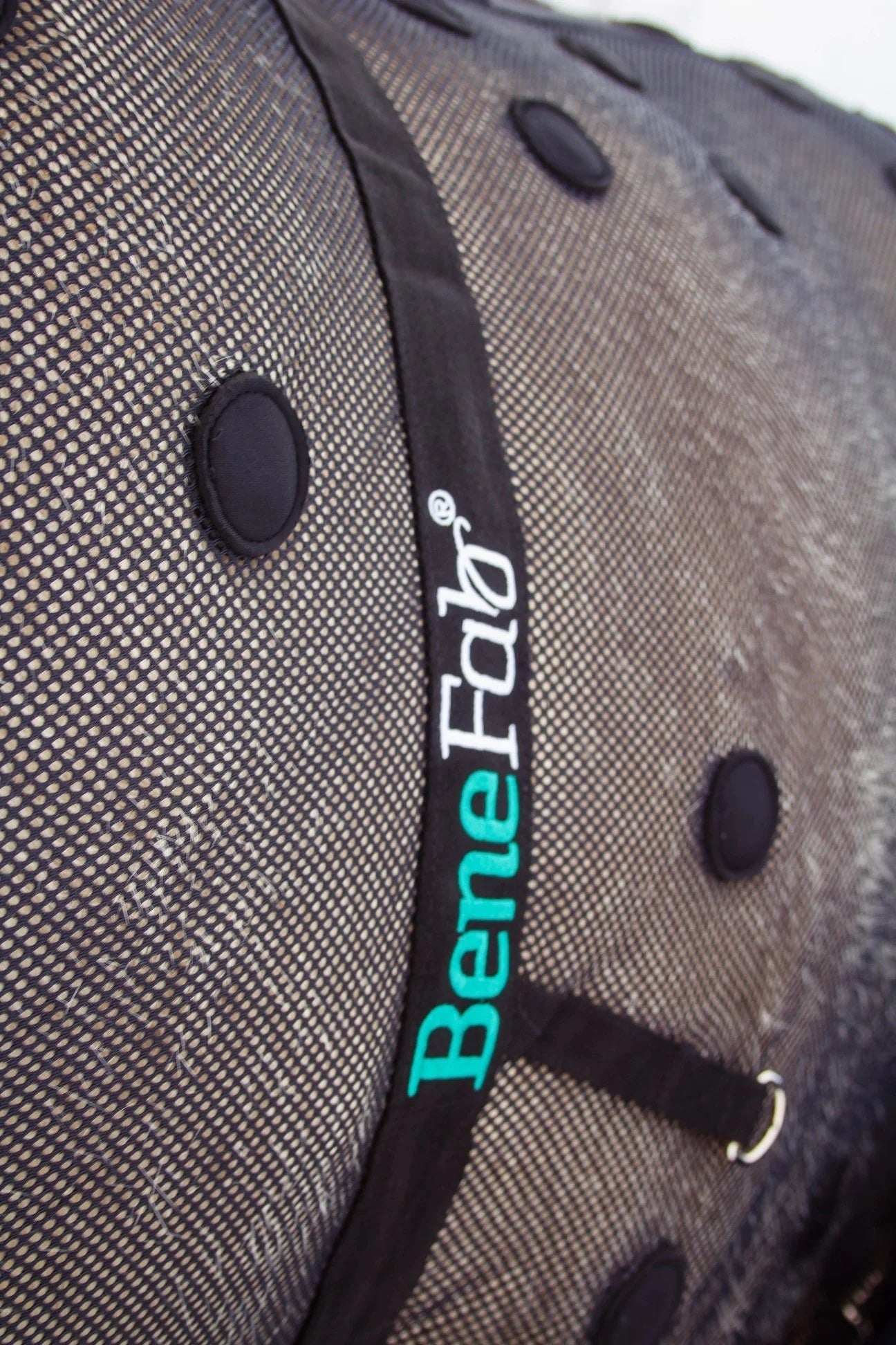 BeneFab Rejuvenate SmartScrim