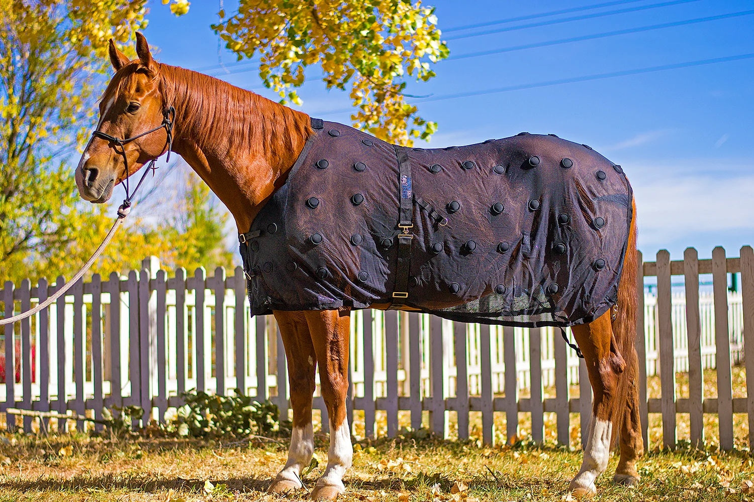 BeneFab Rejuvenate SmartScrim