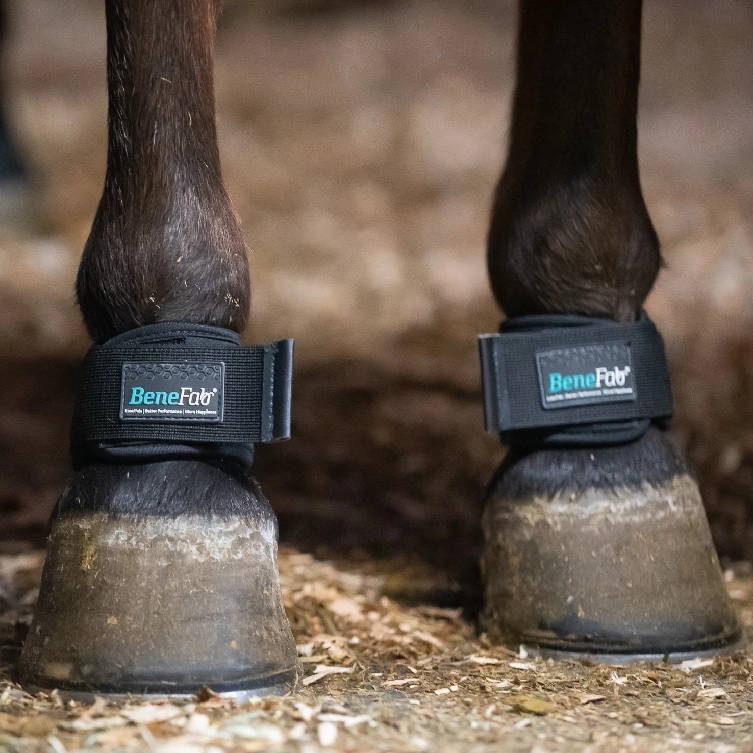 BeneFab Therapeutic Pastern Wraps