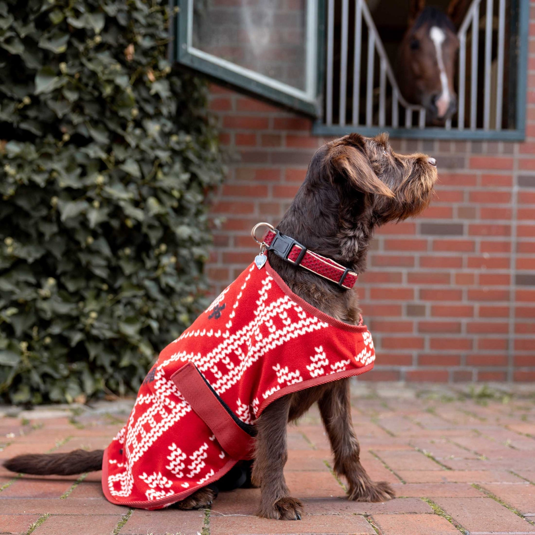 Horze Santa Dog Fleece Coat