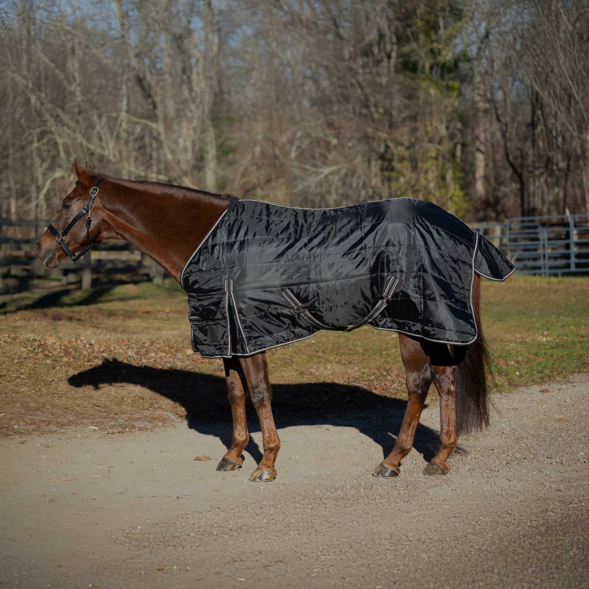 Equinavia Norse Gusseted Stable Blanket 200g