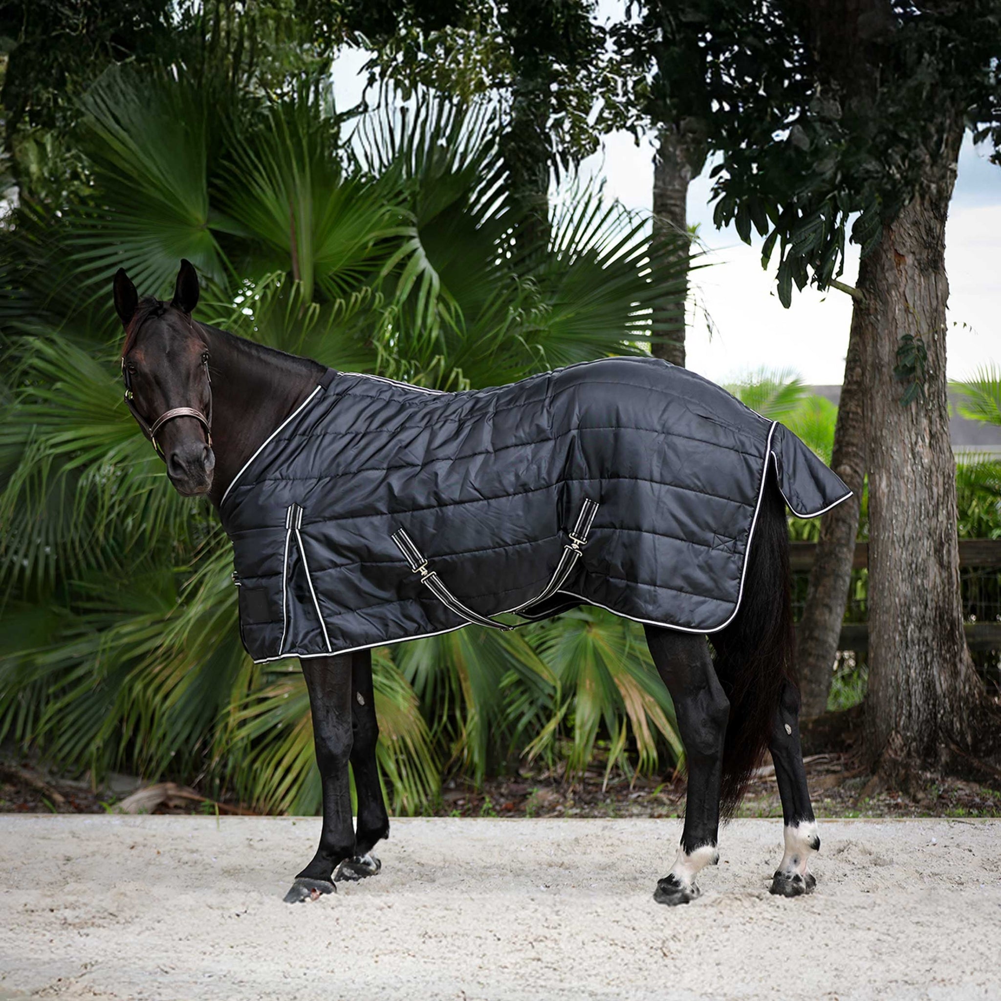 Equinavia Norse Gusseted Stable Blanket 100g