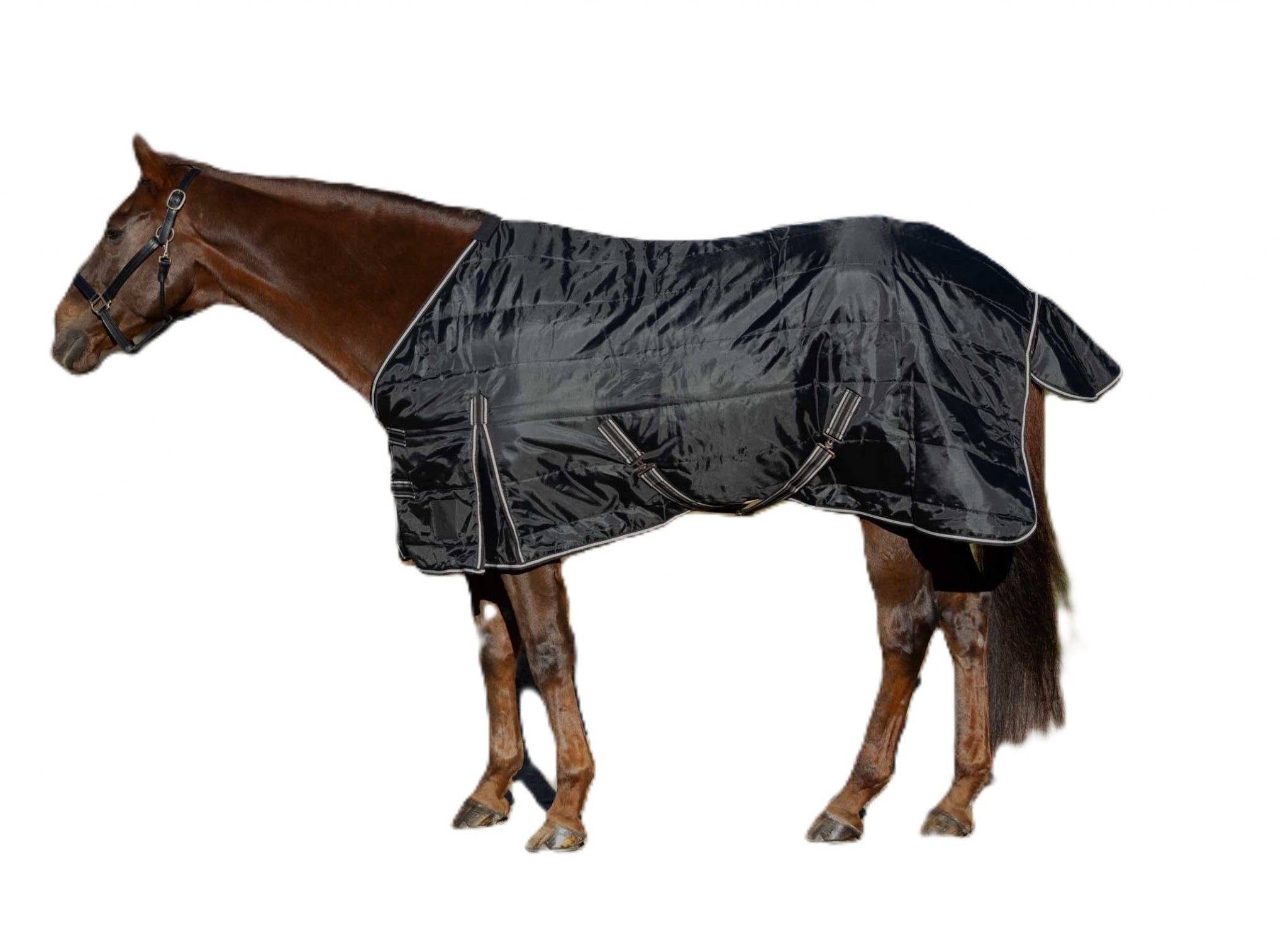 Equinavia Norse Gusseted Stable Blanket 100g