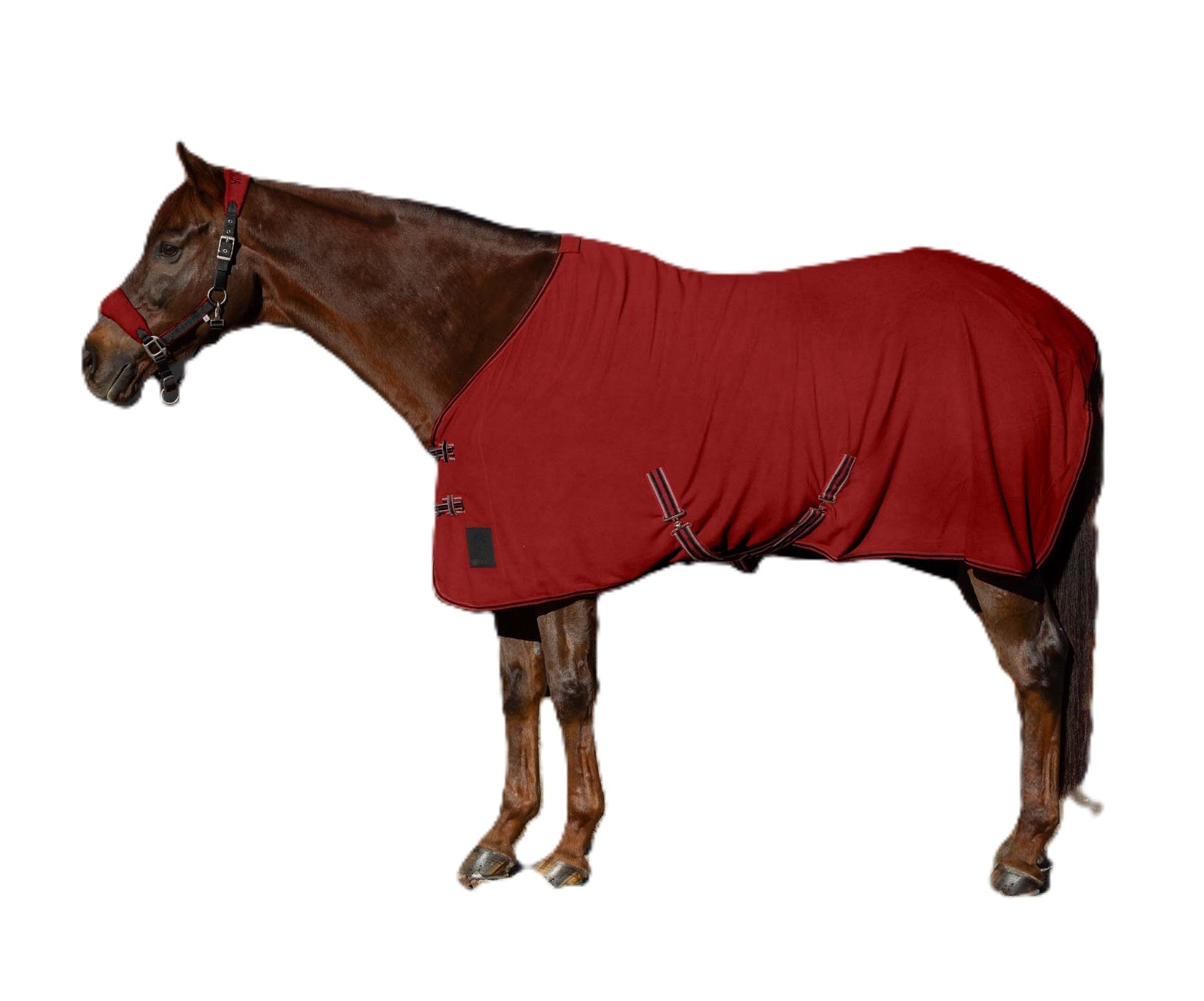 Equinavia Norse Fleece Cooler