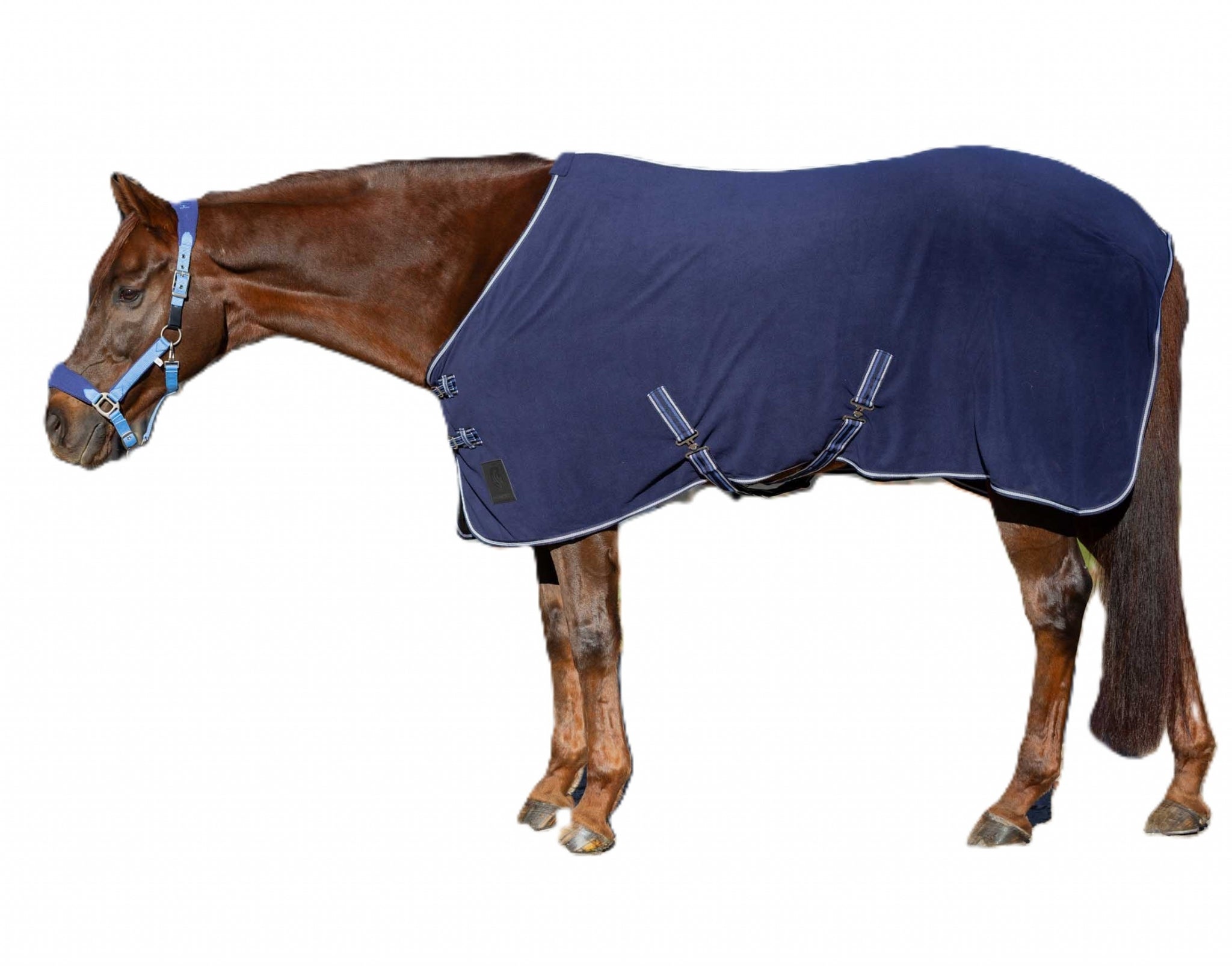 Equinavia Norse Fleece Cooler