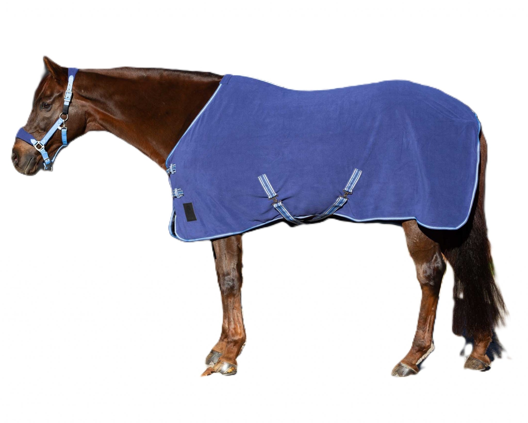 Equinavia Norse Fleece Cooler