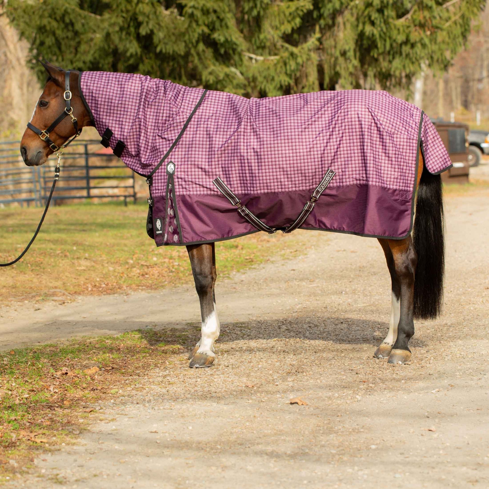 Equinavia Norse Neck Cover - No Fill