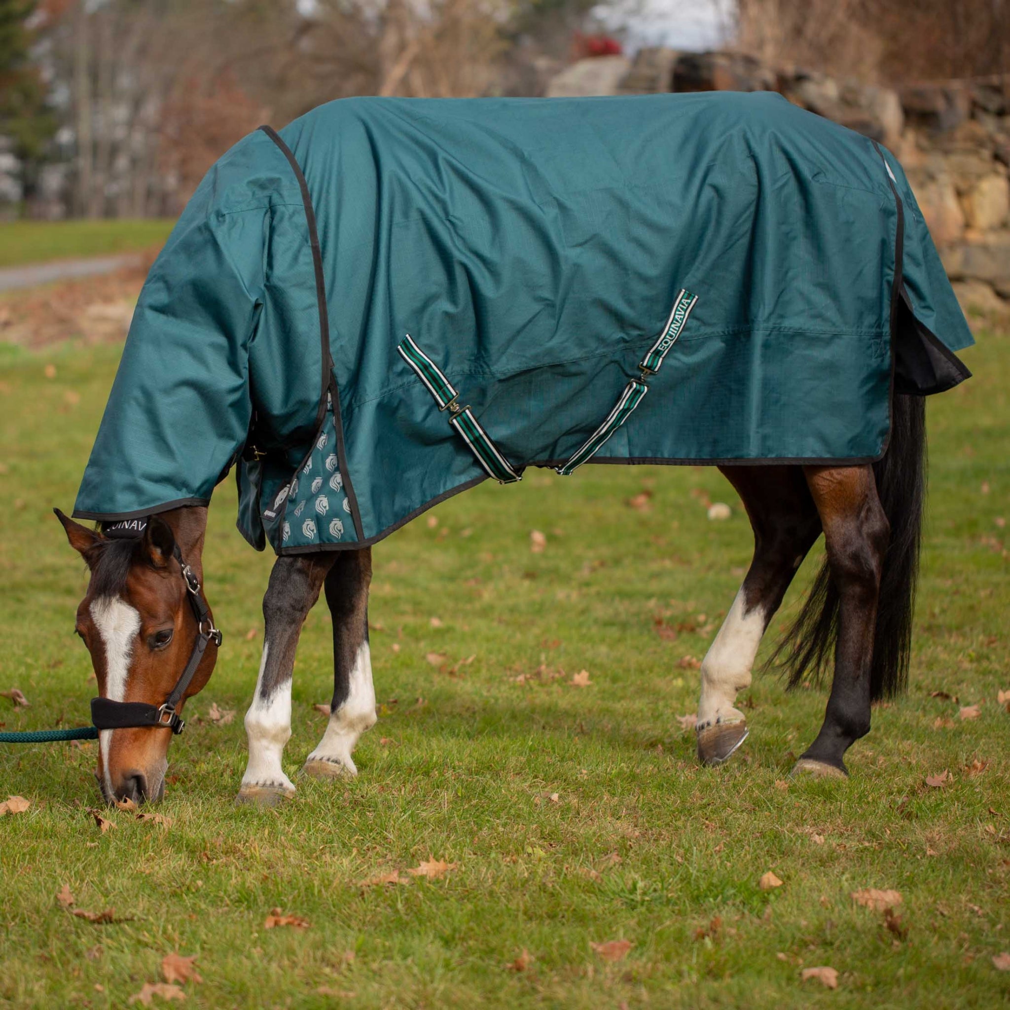 Equinavia Arktis Neck Cover No Fill