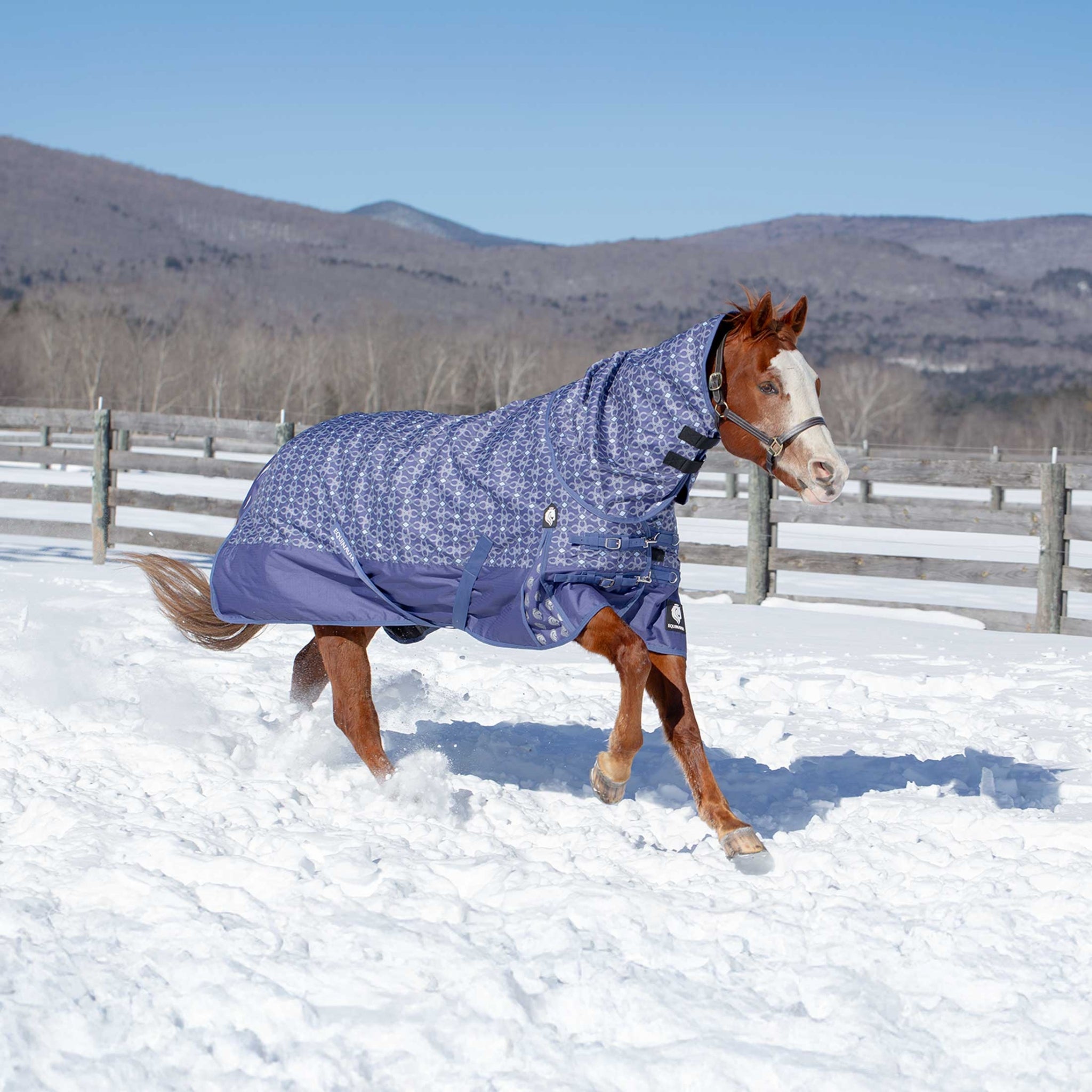 Equinavia Arktis Neck Cover No Fill