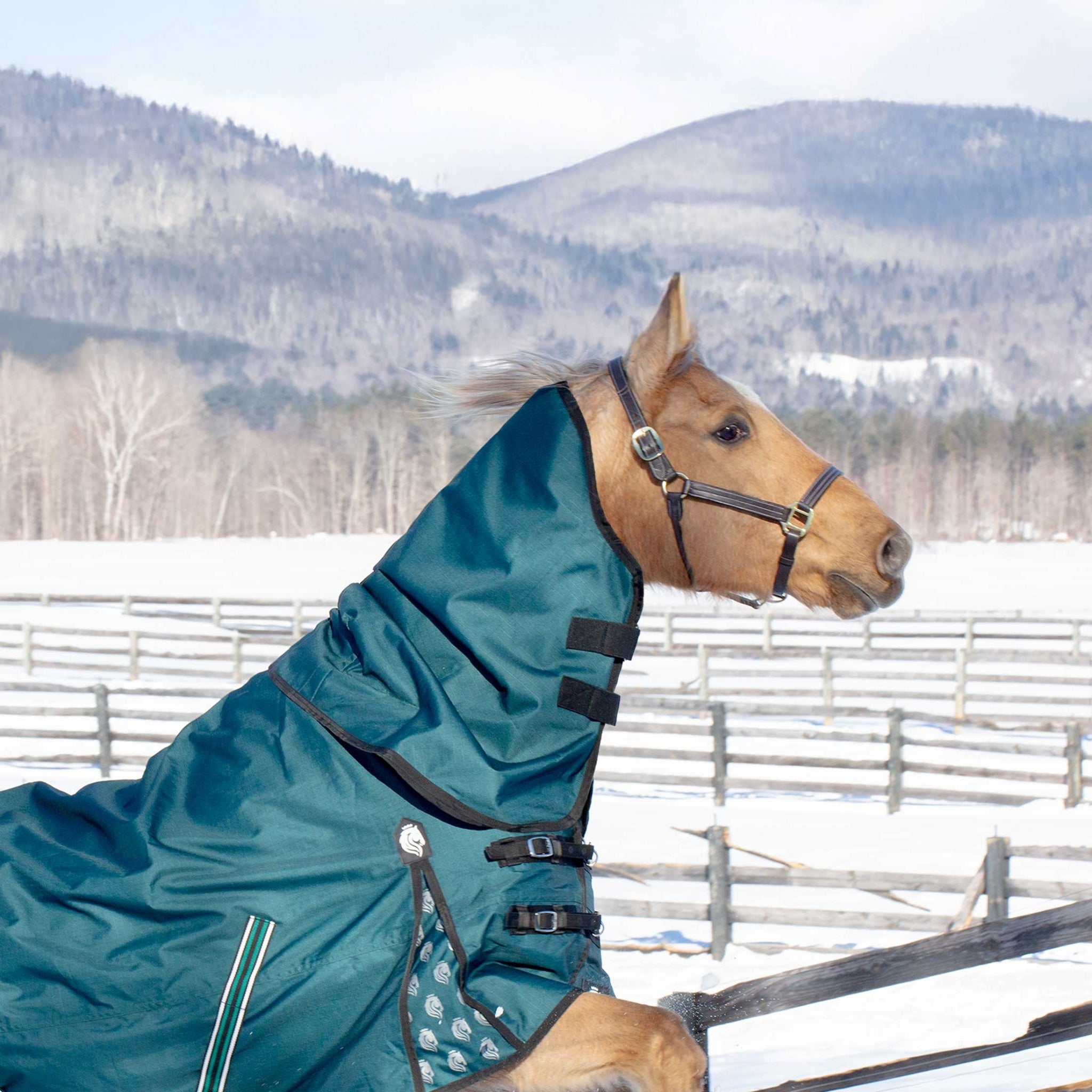Equinavia Arktis Neck Cover 200g