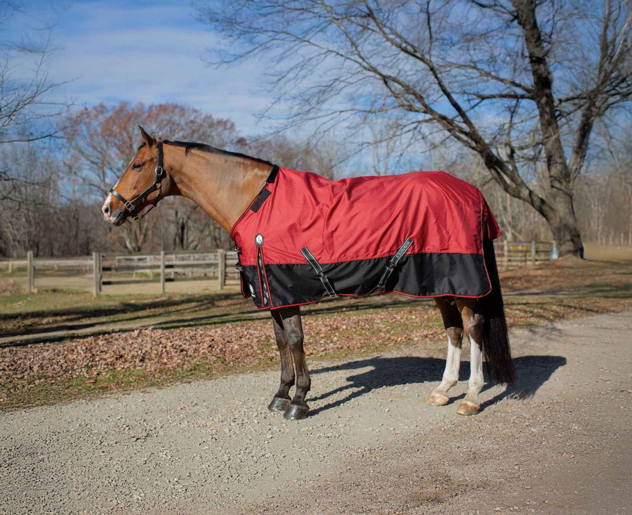 Equinavia Norse Turnout Sheet
