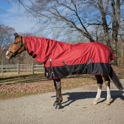 Equinavia Norse Turnout Sheet