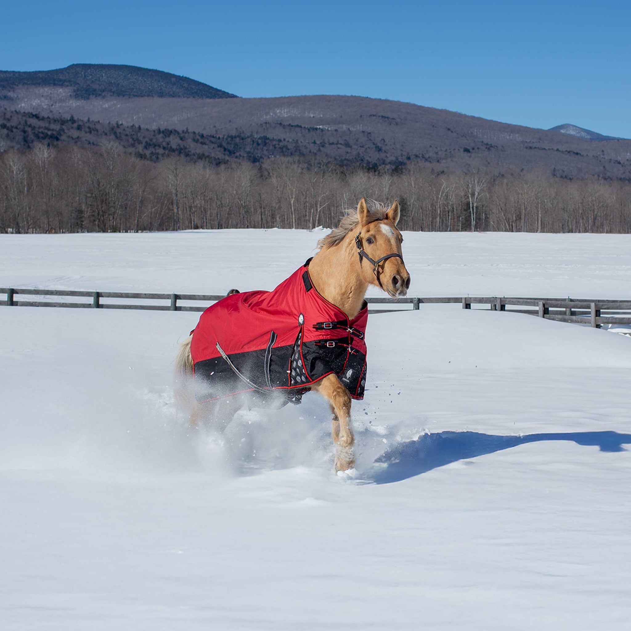 Equinavia Norse Turnout Sheet
