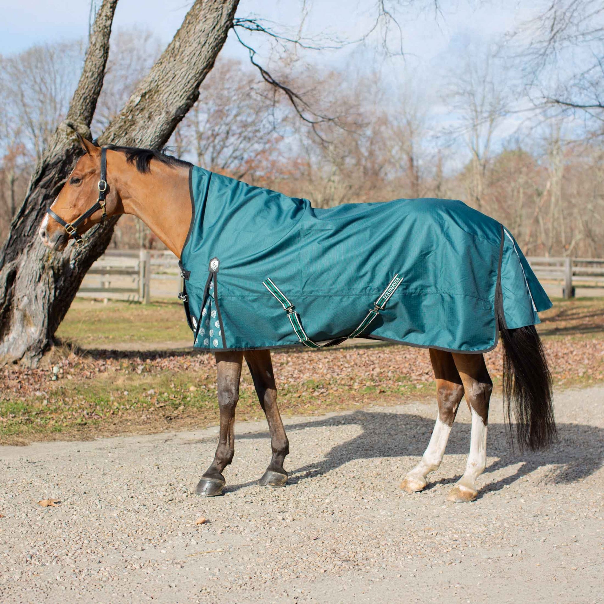 Equinavia Arktis Extended Neck Heavy Weight Turnout Blanket 300g