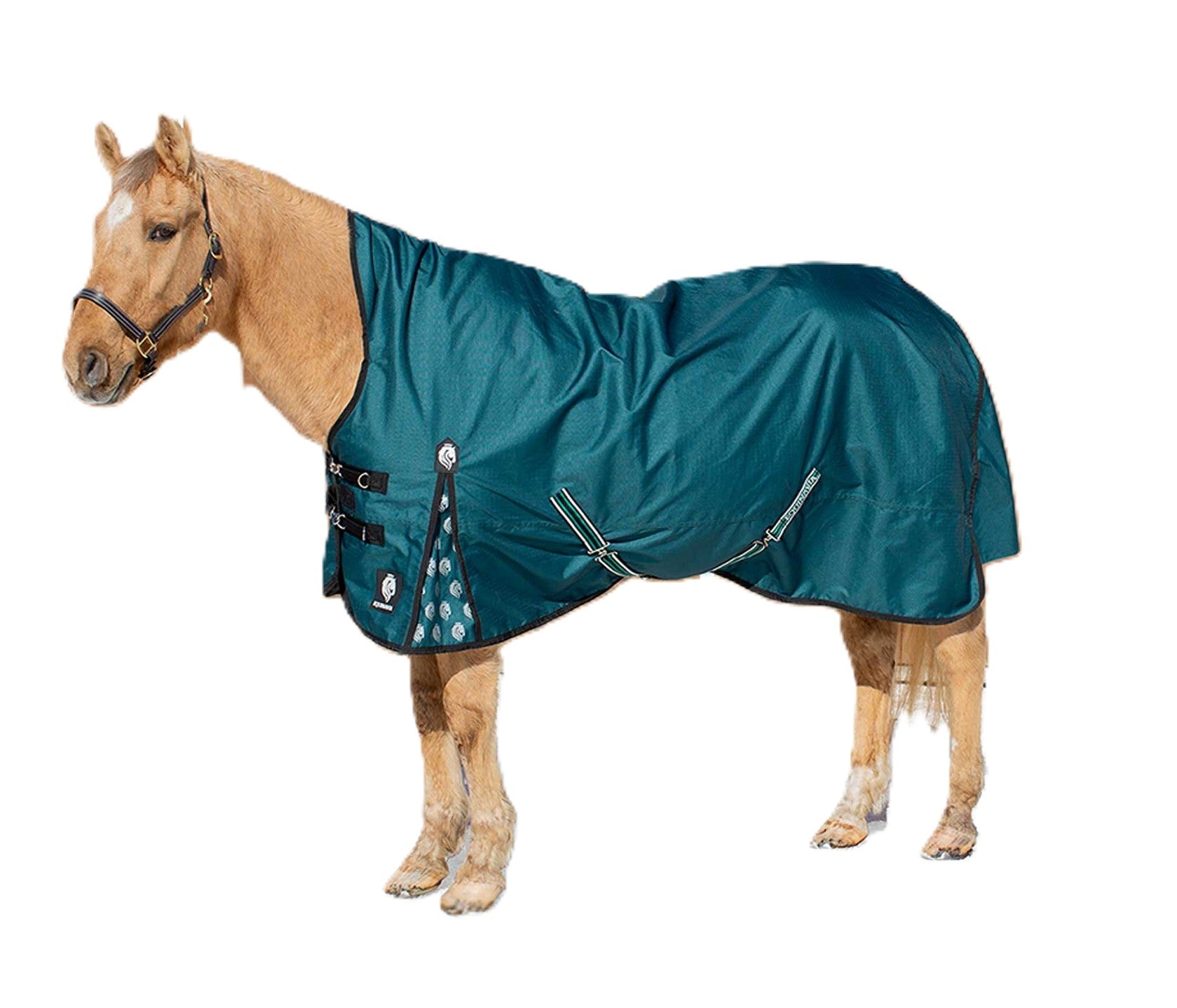 Equinavia Arktis Extended Neck Heavy Weight Turnout Blanket 300g