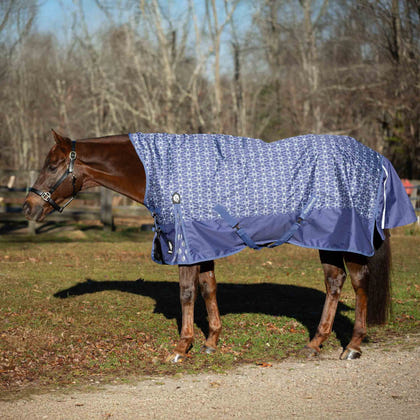 Equinavia Arktis Extended Neck Heavy Weight Turnout Blanket 300g