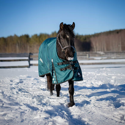 Equinavia Arktis Extended Neck Light Weight Turnout Blanket 100g