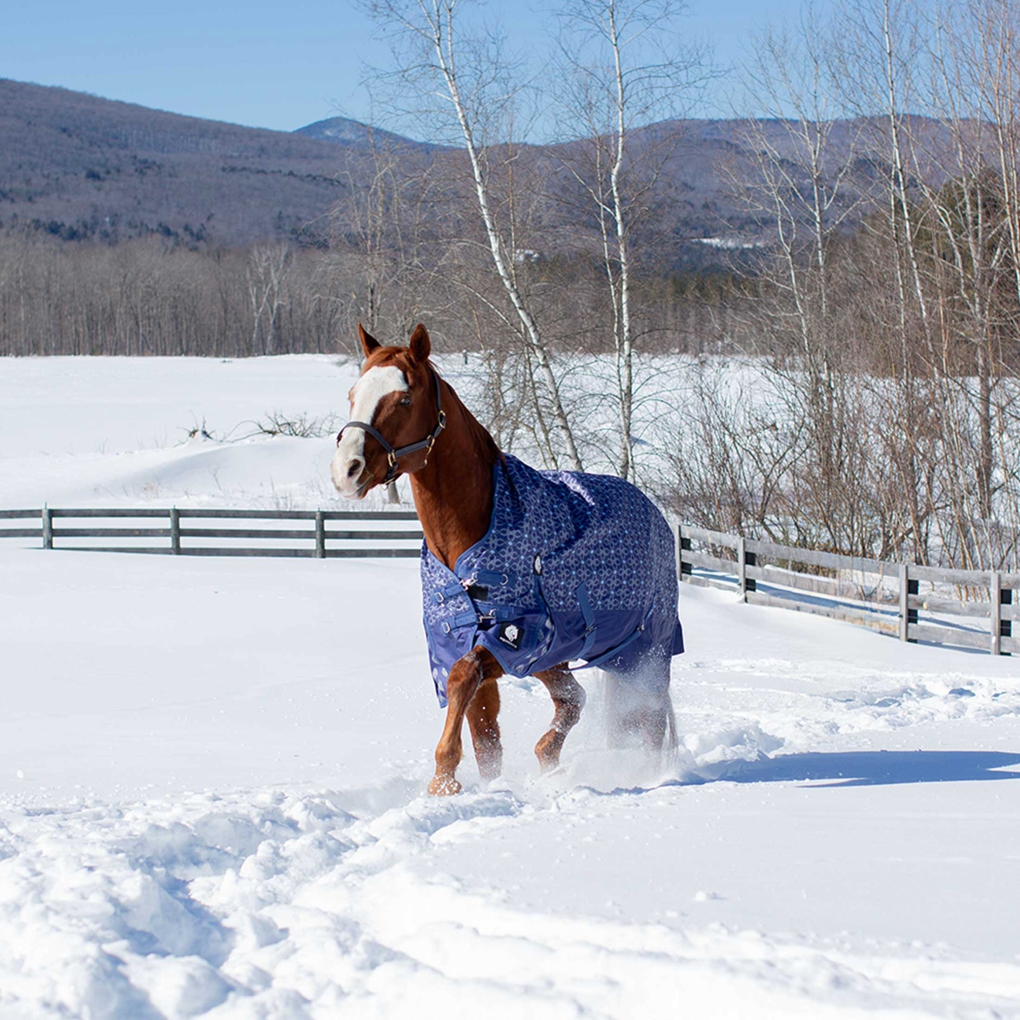 Equinavia Arktis Extended Neck Light Weight Turnout Blanket 100g
