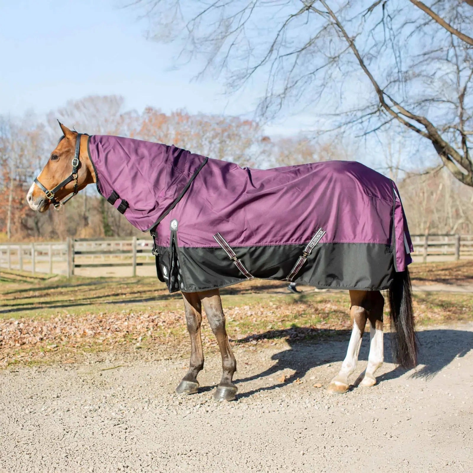 Equinavia Thunder 360 Detachable Neck Light Weight Turnout Blanket 100g