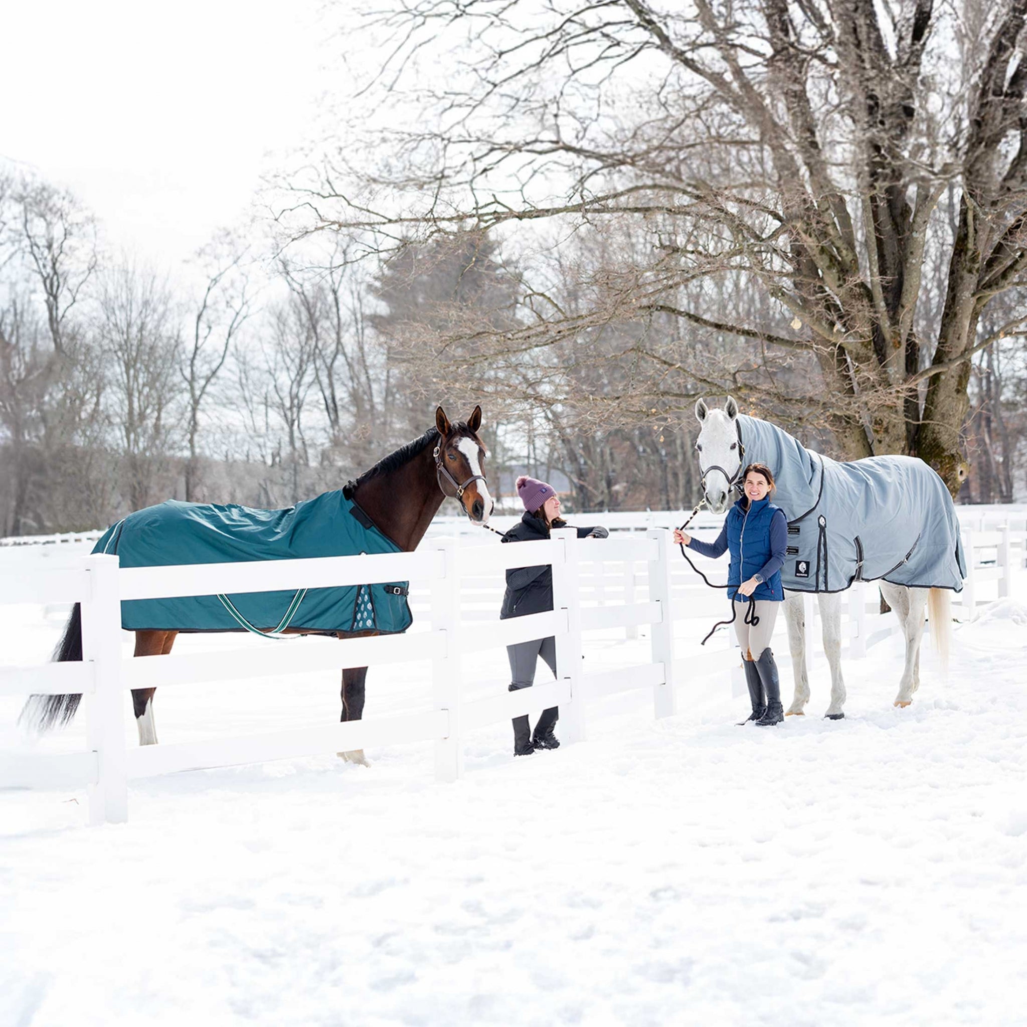 Equinavia Arktis Regular Neck Mid Weight Turnout Blanket 200g