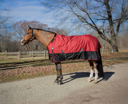 Equinavia Norse Lite Turnout Blanket 100g