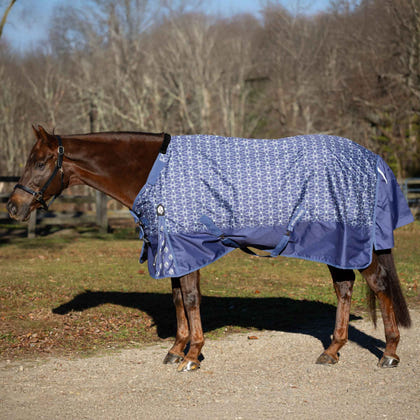 Equinavia Arktis TO Blanket 100g