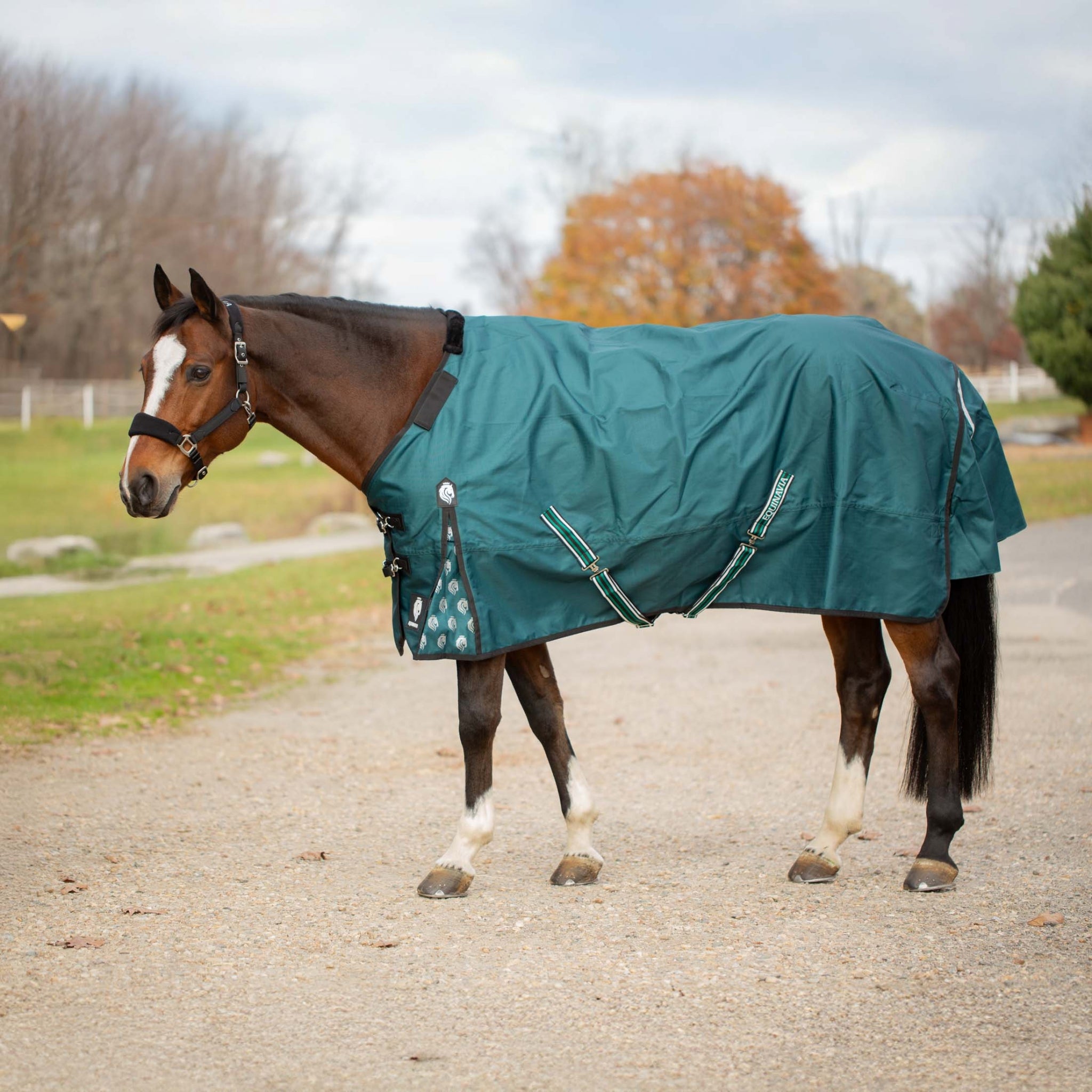 Equinavia Arktis Turnout Blanket 300g