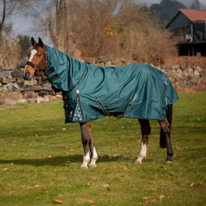 Equinavia Arktis Turnout Blanket 300g