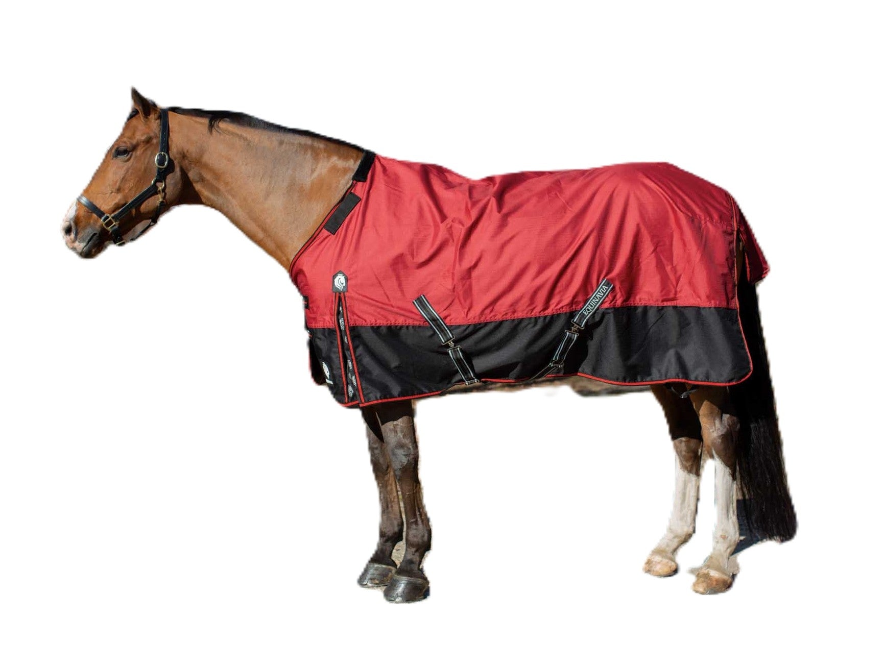Equinavia Norse Heavy Weight Turnout Blanket 300g