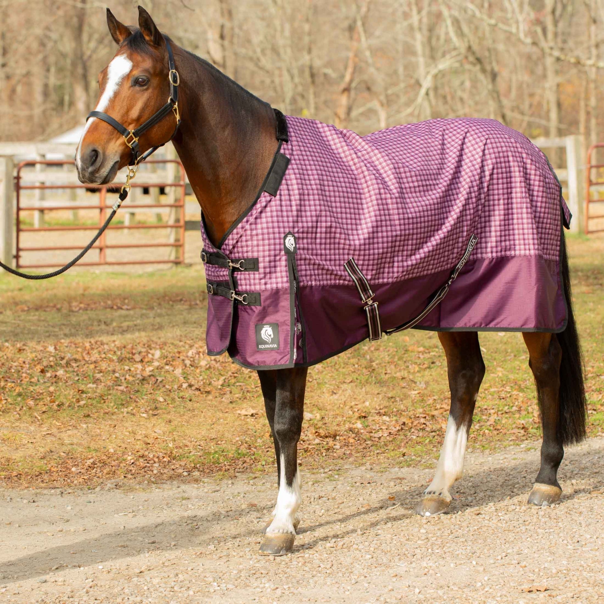 Equinavia Norse Heavy Weight Turnout Blanket 300g